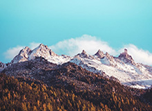 拉都拉不住，比甲前锋戴维球衣都被扯坏了但依旧打入进球