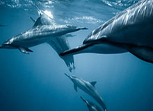 开云官网-2012年的今天，阿尔特塔精彩远射帮助阿森纳1-0击败曼城