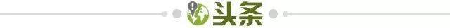 开云官网-【早报】要多久才能看懂裁判？
